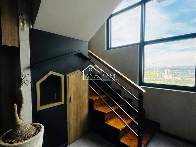 Apartamento para Venda em São José dos Campos - 3